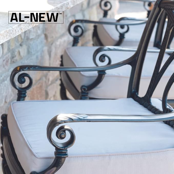 AL-NEW Patio Cushion Cleaner | Safe For Use On Outdoor Fabrics Such As Patio Cushions, Awnings, Furniture Covers, and more (32 Ounce)