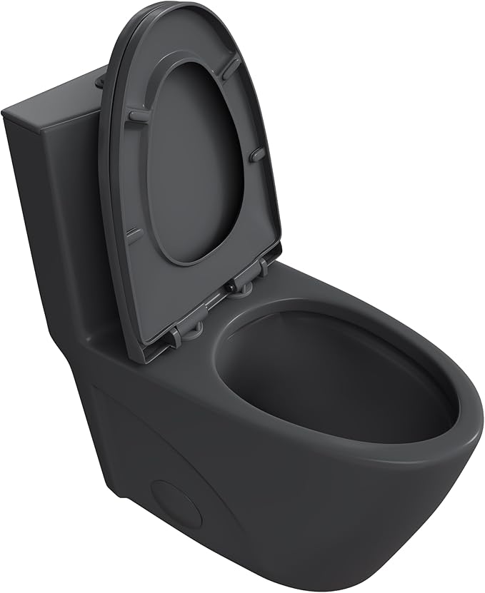 Eridanus Elongated One Piece Toilet with Powerful Siphon Dual Flush 1.1/1.6 GPF, 12" Rough-In Modern Bathroom Toilets with Comfort Soft Closing Seat Height 17", ADA Compliant Bowl, Matte Black