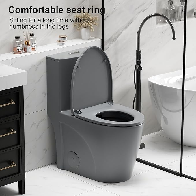Dual Flush One Piece Toilets for Bathrooms, Compact Black Toilet Elongated with Soft Closing Seat, Modern 12 Inch Rough in Toilet, 1.6 GPF & Map 1000g, Comfort Height, Silent Design (Light Gray)