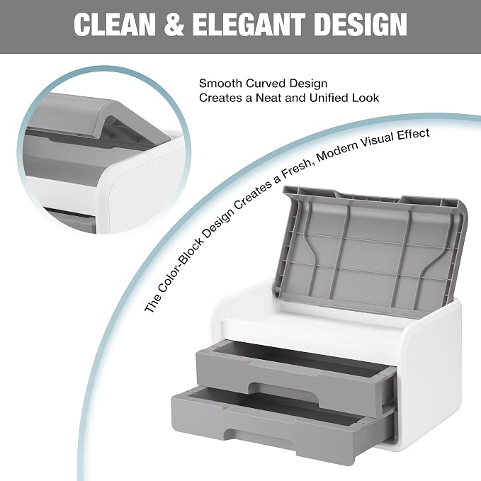WORKPRO Small Storage Box with 2 Drawers and Flip-Top Lid | ABS Storage Case, PP Feet Pads, Arts and Crafts, Beads, Sewing Supplies, DIY Material Organization