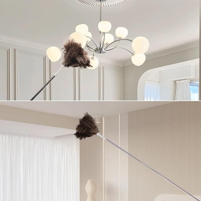 Feather Duster, Ostrich Feather Duster Replacement Head, Reusable Ostrich Feather Duster, Brown (Replacement Head Only)