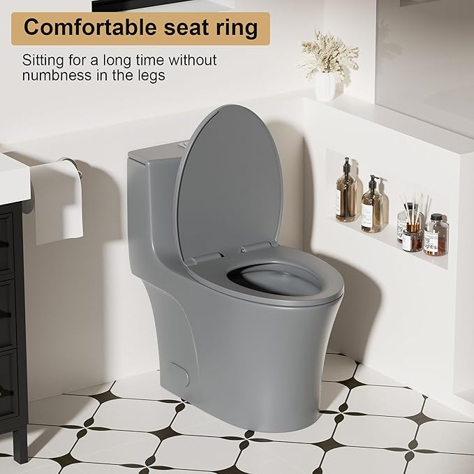 Dual Flush One Piece Toilets for Bathrooms, Compact Gray Toilet Elongated with Soft Closing Seat, Modern 12 Inch Rough in Toilet, 1.6 GPF & Map 1000g, Comfort Height, Silent Design (GREY)