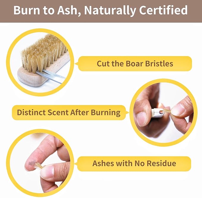 Large + Small Laundry Stain Brush Set with Soft Boar Bristles | Wooden Handle, Tough on Stubborn Stains, Gentle on Cotton, Linen, Knits, Large for Broad Surfaces, Small for Details