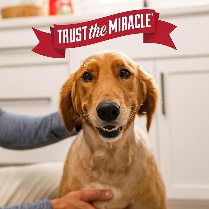 Nature's Miracle Advanced Dog Stain & Odor Eliminator Foam, 64 oz | Enzymatic Cleaner Eliminates the Toughest Dog Messes, Flip & Go Continuous Sprayer, Safe For Pets and Home*, Fresh Scent