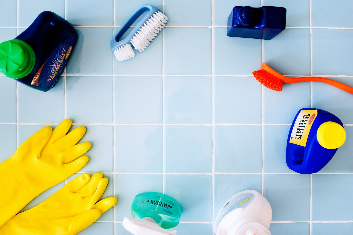 Cleaning Brushes