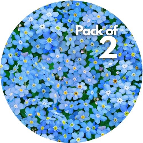 Andreas Silicone Non-Slip 6.25" Jar Opener – Easy Lid Opener, Made with Silicone and Fabric, Dishwasher Safe, Garlic Peeler, 6.25 inch (2 pack, Forget Me Not)