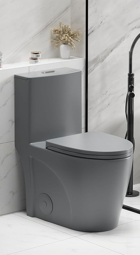 Dual Flush One Piece Toilets for Bathrooms, Compact Black Toilet Elongated with Soft Closing Seat, Modern 12 Inch Rough in Toilet, 1.6 GPF & Map 1000g, Comfort Height, Silent Design (Light Gray)