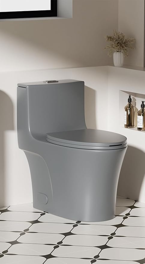 Dual Flush One Piece Toilets for Bathrooms, Compact Gray Toilet Elongated with Soft Closing Seat, Modern 12 Inch Rough in Toilet, 1.6 GPF & Map 1000g, Comfort Height, Silent Design (GREY)