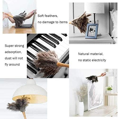 DDZMZ Ostrich Feather Duster for Cleaning with Natural Fluffy,16",Black | Genuine Natural Fluffy,Reusable and Washable,Gentle on Delicate Surfaces,for Home,Furniture,Desk