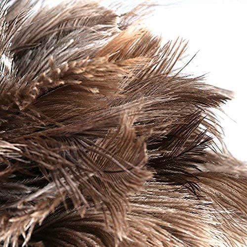 DDZMZ Ostrich Feather Duster for Cleaning with Long Wooden Handle,24" | Genuine Natural Fluffy,Reusable and Washable,Gentle on Delicate Surfaces,for Home,Furniture,Desk