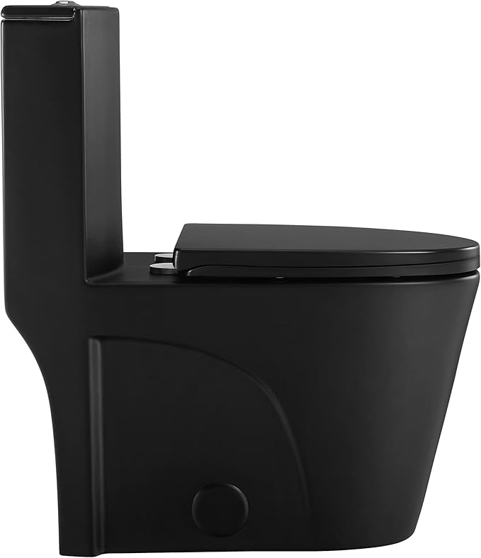 St. Tropez One Piece Elongated Toilet Dual Vortex Flush 1.1/1.6 gpf with 10" Rough-In, Matte Black