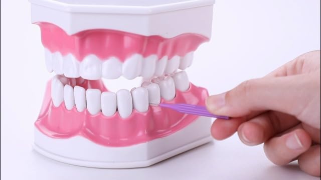 Patelai 100 Count Interdental Brush Set, Soft Braces Cleaner Picks with Cap, Multi Size Teeth Gap Cleaning Tool for Orthodontic Care Bridge Implant Travel Kit(Gray)