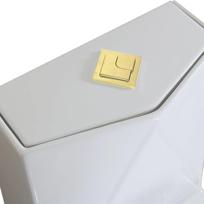 WinZo Rectangular Modern One Piece Toilet with Diamond-shaped Sleek Design Square Dual Flush Gold Button Elongated Soft Closing Seat, White