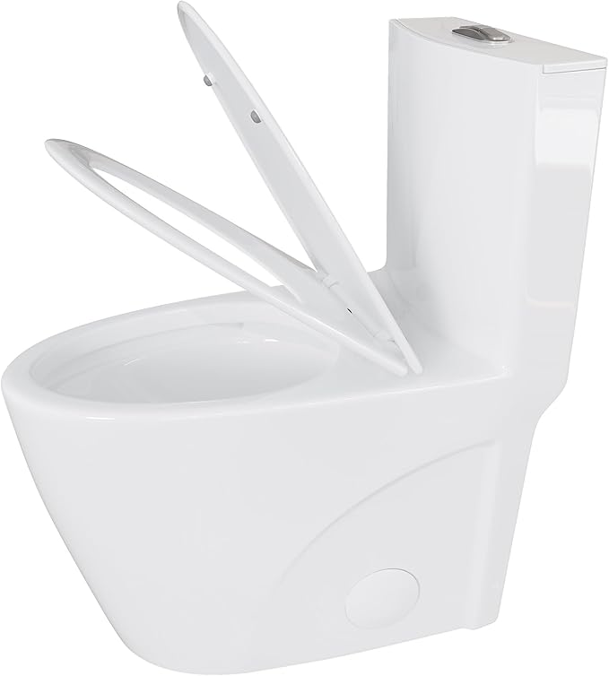Eridanus Elongated One Piece Toilet with Powerful Siphon Dual Flush 1.1/1.6 GPF, 12" Rough-In Modern Bathroom Toilets with Comfort Soft Closing Seat Height 17", ADA Compliant Bowl, White