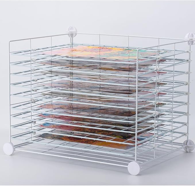 FDSDEFEN Art Drying Rack Removable Shelves ，Wall Art Drying Rack，Art Organizer for Kids, Art Studio and Tabletop Storage, Craft Room and Desktop (10 Shelves)