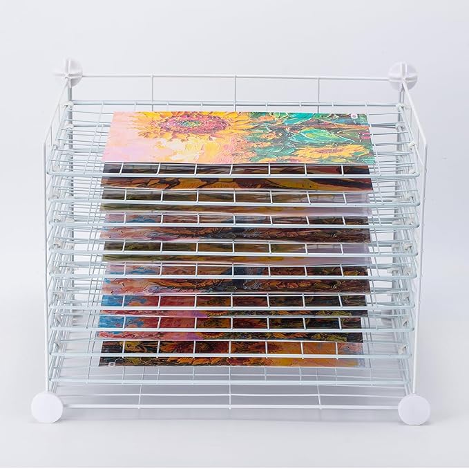 FDSDEFEN Art Drying Rack Removable Shelves ，Wall Art Drying Rack，Art Organizer for Kids, Art Studio and Tabletop Storage, Craft Room and Desktop (10 Shelves)