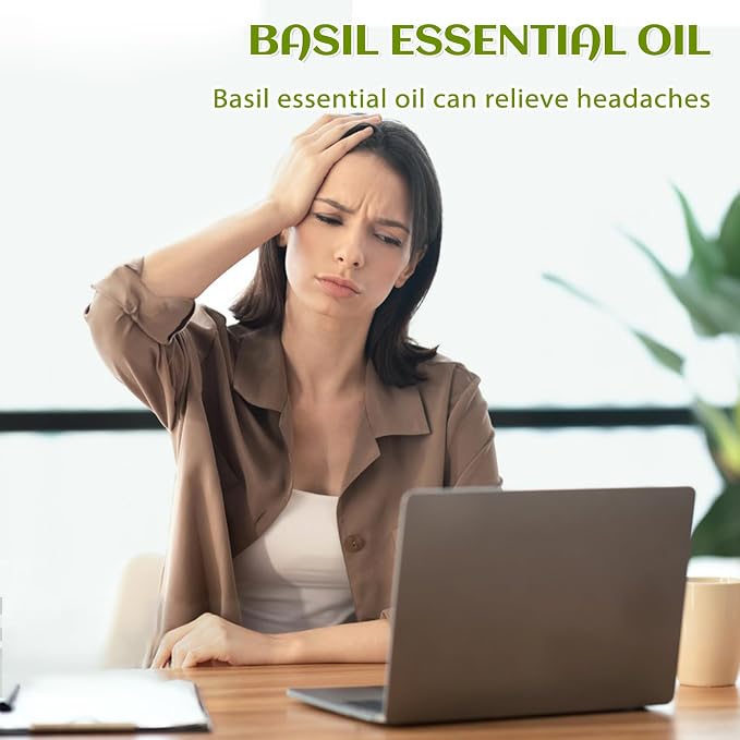 EVOKE OCCU Basil Essential Oil for Diffuser, DIY & Herbal | Fresh, Herbaceous Scent for Candle Making, Soap, Massage & Skin. Pure Basil Oil - 118mL / 4 fl.oz