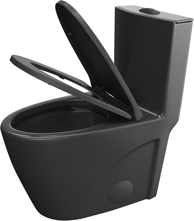Eridanus Elongated One Piece Toilet with Powerful Siphon Dual Flush 1.1/1.6 GPF, 12" Rough-In Modern Bathroom Toilets with Comfort Soft Closing Seat Height 17", ADA Compliant Bowl, Matte Black