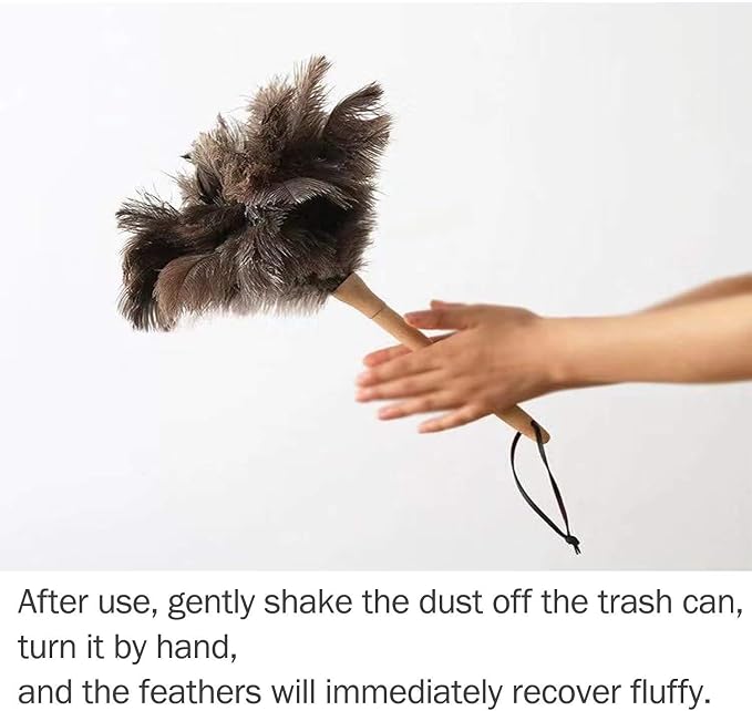 DDZMZ Ostrich Feather Duster for Cleaning with Long Wooden Handle,24" | Genuine Natural Fluffy,Reusable and Washable,Gentle on Delicate Surfaces,for Home,Furniture,Desk