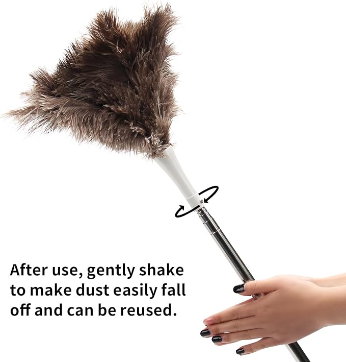 Feather Duster, Ostrich Feather Duster Replacement Head, Reusable Ostrich Feather Duster, Brown (Replacement Head Only)