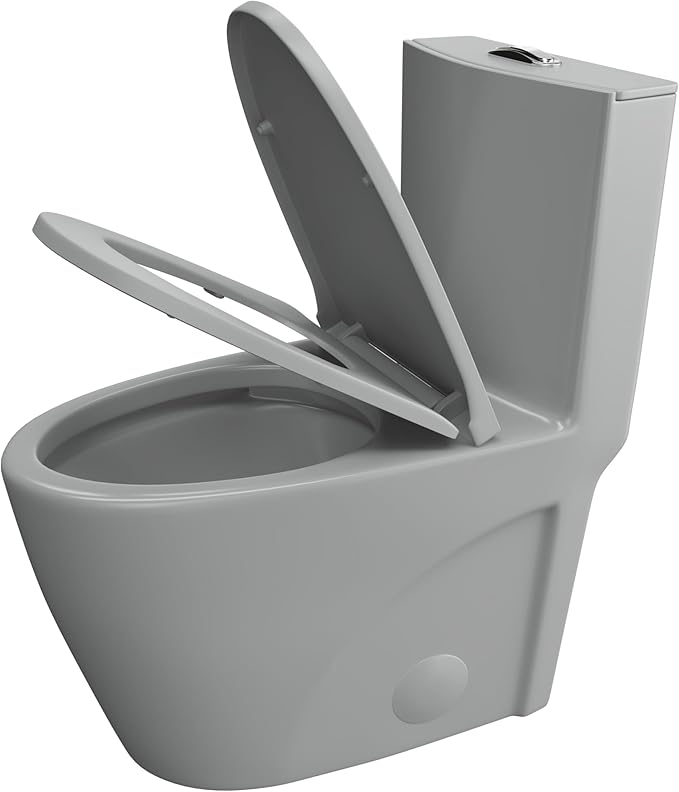 Eridanus Elongated One Piece Toilet with Powerful Siphon Dual Flush 1.1/1.6 GPF, 12" Rough-In Modern Bathroom Toilets with Comfort Soft Closing Seat Height 17", ADA Compliant Bowl, Light Gray