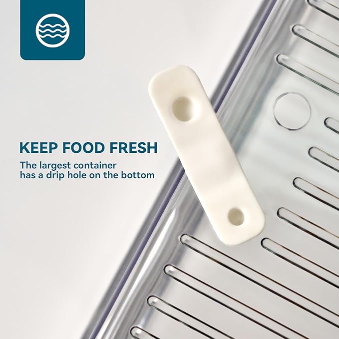 Luckore 10 Pack Clear Fridge Organizer, Stackable Refrigerator Organizer Bins with Lids, Fridge Storage Containers for Kitchen, Food, Cabinets, Fruits, Vegetables, Cereals