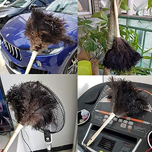 DDZMZ Ostrich Feather Duster for Cleaning with Wooden Handle,16",Brown | Genuine Natural Fluffy,Reusable and Washable,Gentle on Delicate Surfaces,for Home,Furniture,Desk