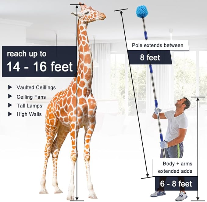 Extended Reach Cobweb Duster with 8-Foot Pole - Medium Bristle Brush for Ceiling, Wall, and Indoor/Outdoor Cleaning, Lightweight Stainless Steel (8 FT)