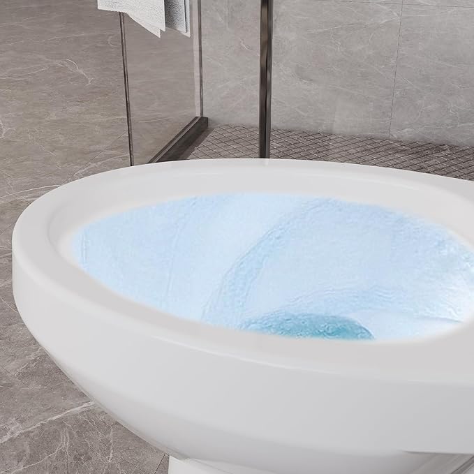Two-Piece Toilet, 19" Comfort Height Elongated Bowl with 1000g MAP High-Efficiency Flush, ADA Compliant, 12" Rough-In for Residential & Commercial Use