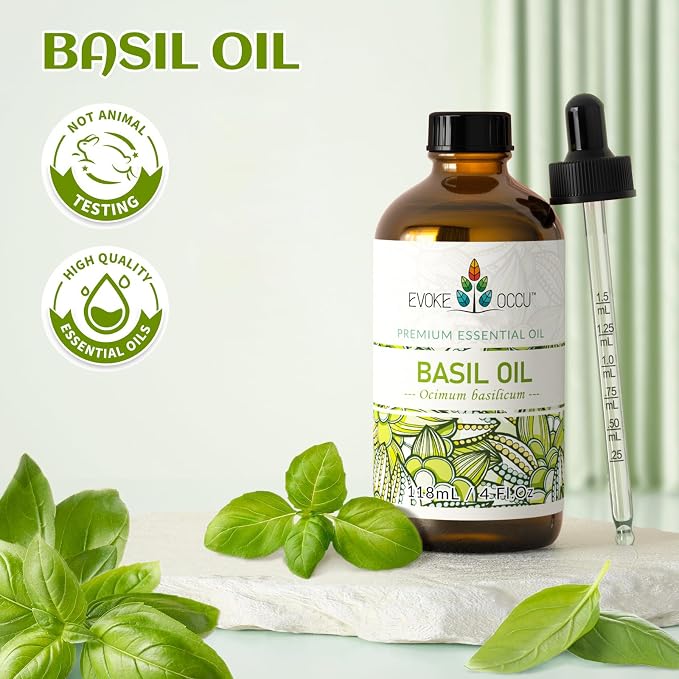 EVOKE OCCU Basil Essential Oil for Diffuser, DIY & Herbal | Fresh, Herbaceous Scent for Candle Making, Soap, Massage & Skin. Pure Basil Oil - 118mL / 4 fl.oz