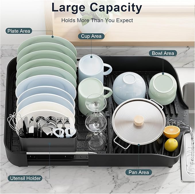PULIDIKI Dish Drying Rack, Expandable Dish Rack for Kitchen Counter, Stainless Steel Dish Drainer with Utensil Holder, Kitchen Plate Organizer for Cup and Bottle