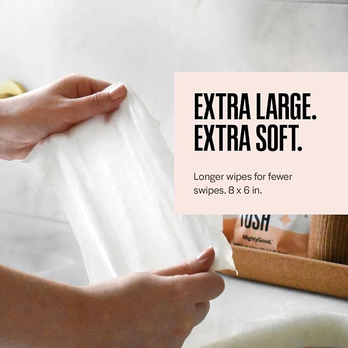 Wipe That Tush On-The-Go Flushable Wipes - 1 Packs of 30 Individually Wrapped Travel Wipes - Fragrance Free & Hypoallergenic - Extra Large & Soft - Aloe & Vitamin E - Septic-Safe - Travel Essentials