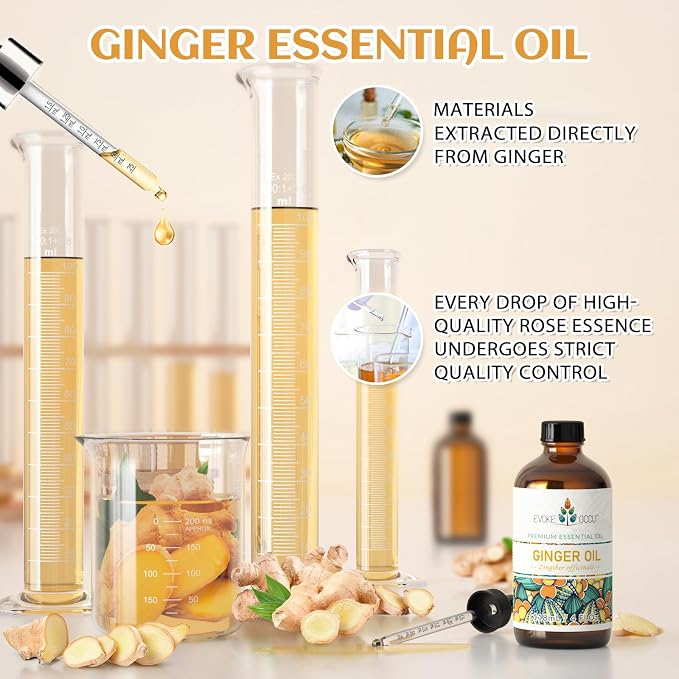 EVOKE OCCU Ginger Oil for Diffuser, Massage, Skin & Hair | Aromatherapy Oil, Warming Relief for Sore Muscles & Joints, Ideal for Scalp Nourishment & DIY - 118mL / 4 fl oz