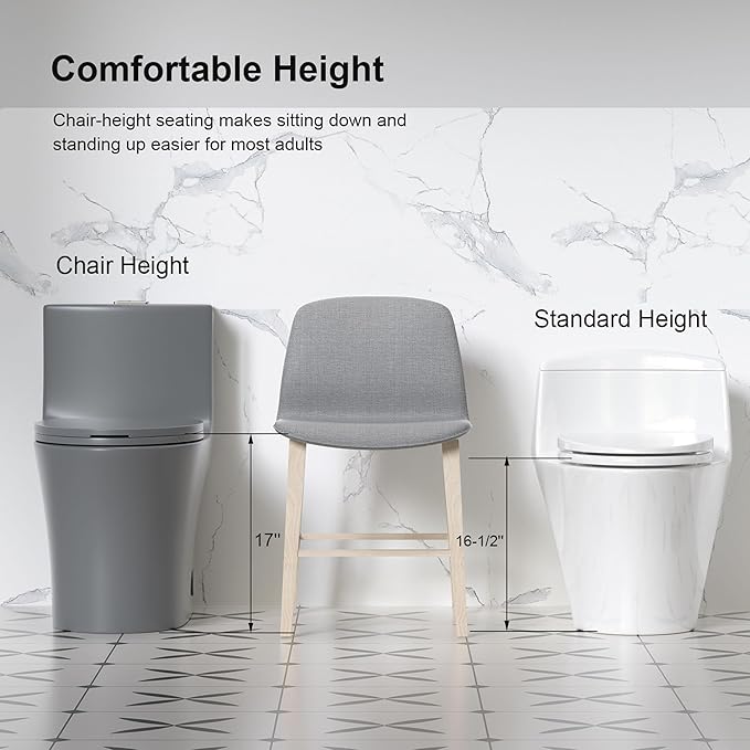 Dual Flush One Piece Toilets for Bathrooms, Compact Gray Toilet Elongated with Soft Closing Seat, Modern 12 Inch Rough in Toilet, 1.6 GPF & Map 1000g, Comfort Height, Silent Design (GREY)