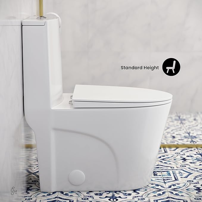 St. Tropez One Piece Elongated Toilet Dual Vortex Flush 1.1/1.6 gpf with 10" Rough In