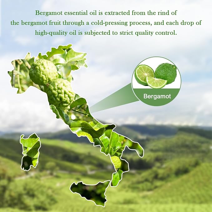 EVOKE OCCU Bergamot Essential Oil for Diffuser Skin & Relaxation | Fresh and Pleasant Scent, Suitable for Study, Work, and DIY Wool Dryer Balls – 118mL / 4 fl oz