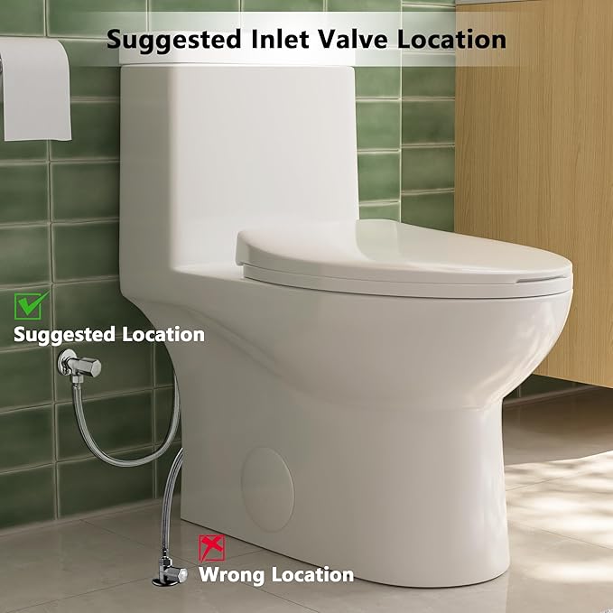 DeerValley Elongated One Piece Toilet with Standard Height Quick Release Seat Dual Flush 1.1/1.6 GPF White 12" Rough In Bathroom Toilet