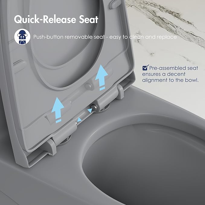 Eridanus Elongated One Piece Toilet with Powerful Siphon Dual Flush 1.1/1.6 GPF, 12" Rough-In Modern Bathroom Toilets with Comfort Soft Closing Seat Height 17", ADA Compliant Bowl, Light Gray