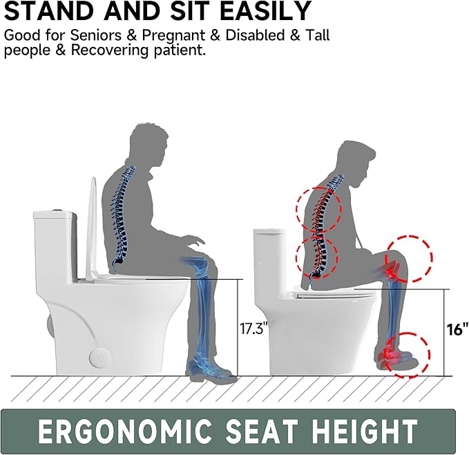 Elongated Modern Tall Toilet 17 Inch Chair Height Seat 17.3", Powerful Tornado Flush One Piece Dual Flush 1.0/1.28 GPF, ADA High Skirted Toilet for Bathroom, Comfort Bowl Heigh 16.5", White