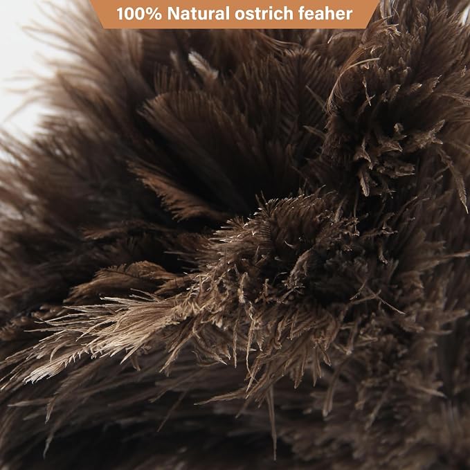 Feather Duster, Ostrich Feather Duster Replacement Head, Reusable Ostrich Feather Duster, Brown (Replacement Head Only)