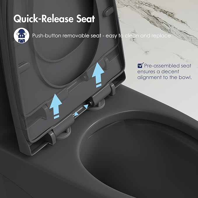 Eridanus Elongated One Piece Toilet with Powerful Siphon Dual Flush 1.1/1.6 GPF, 12" Rough-In Modern Bathroom Toilets with Comfort Soft Closing Seat Height 17", ADA Compliant Bowl, Matte Black