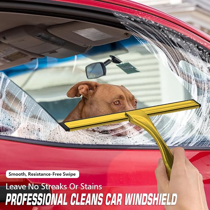 Stainless Steel Shower Squeegee for Glass Door with 3 Adhesive Hook, Glass Cleaning Squeegee for Bathroom & Household Window, Mirrors, Tiles and Car, Clear 10 Inches Golden