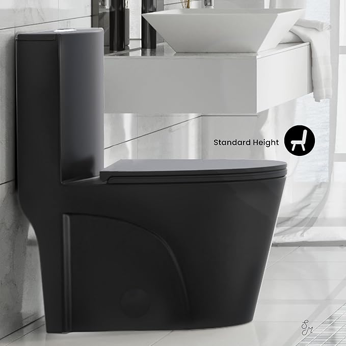 St. Tropez One Piece Elongated Toilet Dual Vortex Flush 1.1/1.6 gpf with 10" Rough-In, Matte Black
