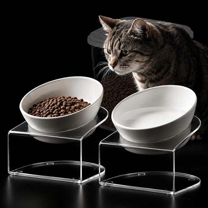 LivLab Mker Elevated Cat Food Bowl, Tilted Water Bowl,Anti Vomiting and Protect Pets' Spines Raised Melamine Pet Dishes for Small Dogs, Flat-Faced Cats & Kittens, White, 2 Pack