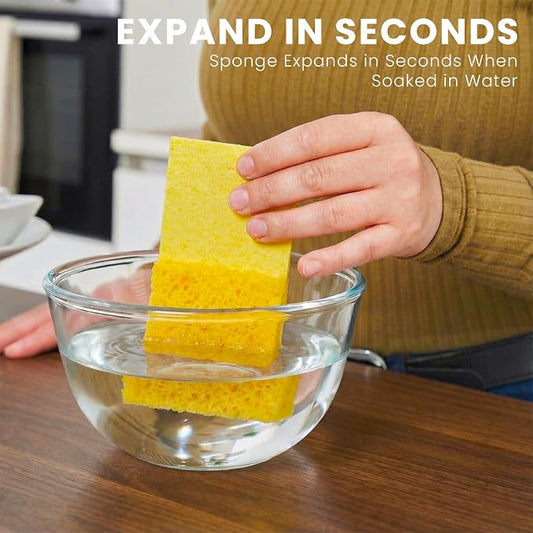 Metflavor Compressed Kitchen Sponges, 24 Count, Thick Non-Scratch Cellulose Dish Sponges, Biodegradable & Compostable, Pop-up Cleaning Sponge, 5" x 3" x 1"