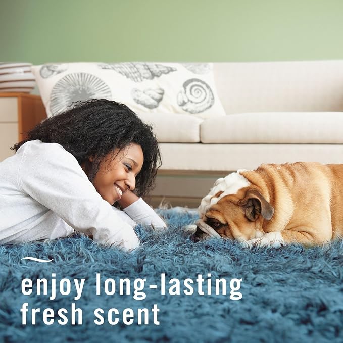 Febreze Fabric Spray Air Freshener, Odor-Fighting Fabric Refresher, Sneaker Balls Alternative, Couch Cleaner, Linen Spray, Multi-Use, Pet Odor Fighter Scent, 23.6 fl oz (Pack of 2)