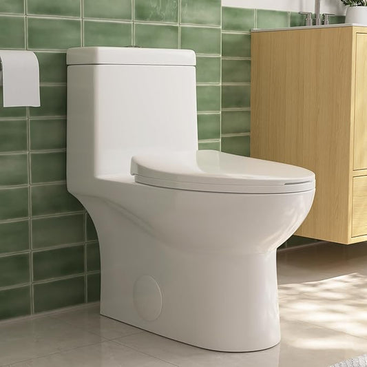 DeerValley Elongated One Piece Toilet with Standard Height Quick Release Seat Dual Flush 1.1/1.6 GPF White 12" Rough In Bathroom Toilet