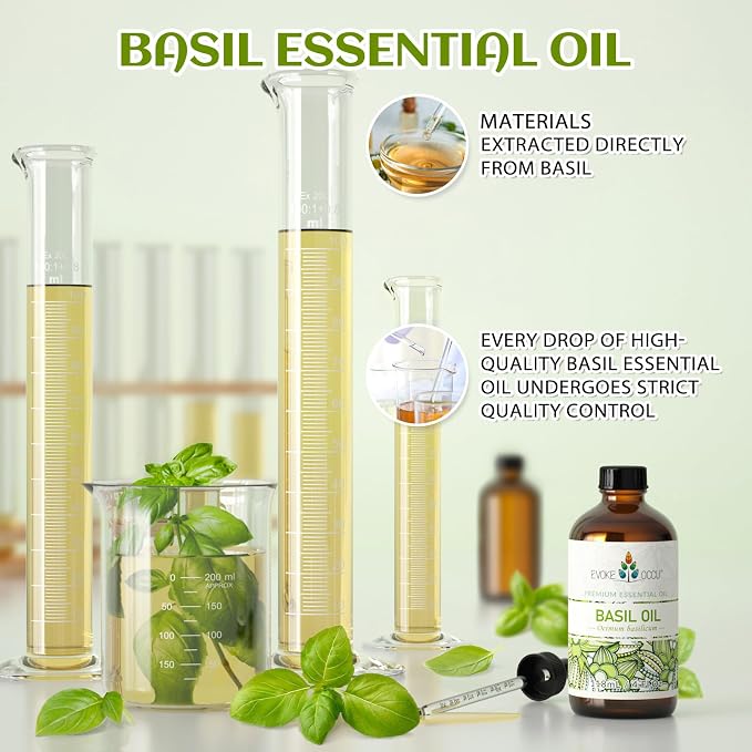 EVOKE OCCU Basil Essential Oil for Diffuser, DIY & Herbal | Fresh, Herbaceous Scent for Candle Making, Soap, Massage & Skin. Pure Basil Oil - 118mL / 4 fl.oz