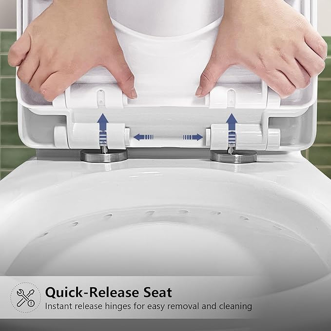 DeerValley Elongated One Piece Toilet with Standard Height Quick Release Seat Dual Flush 1.1/1.6 GPF White 12" Rough In Bathroom Toilet