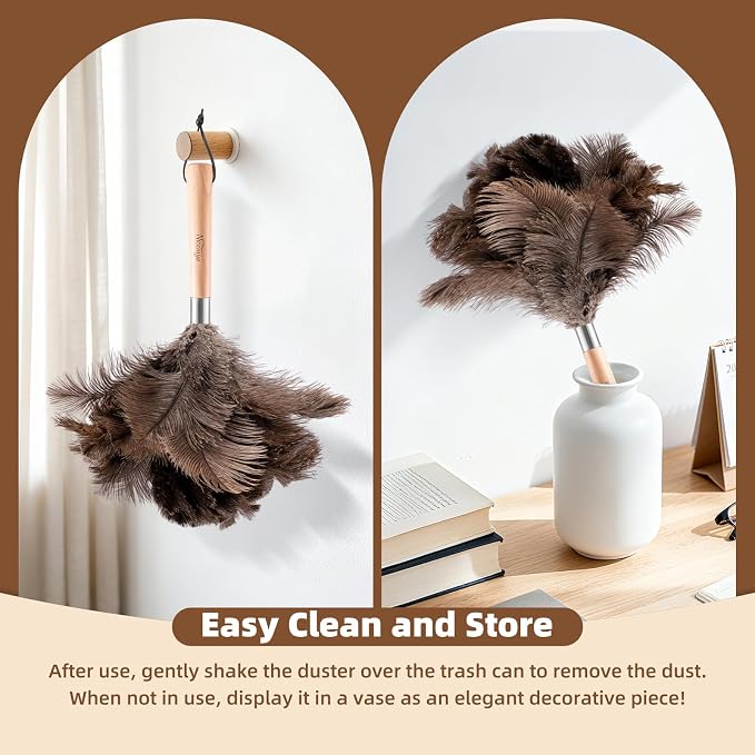 2 Pack Ostrich Feather Dusters for Cleaning with Wooden Handle, 13.5 inch | Natural Fluffy Ostrich Feathers, Washable & Reusable Dusters, Soft Cleaning Tools for Home, Car, Delicate Surfaces